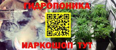 сатива Краснокаменск