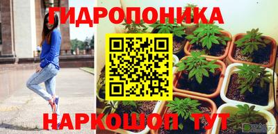 прущие крисы Краснознаменск